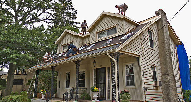 Best Residential Roofing Contractor  in La Presa, CA