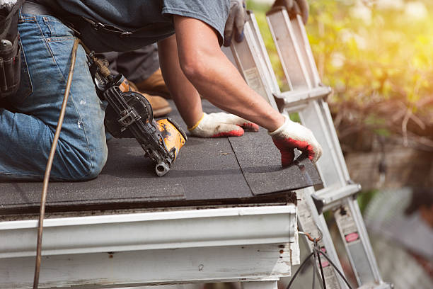 Best Local Roofing Companies  in La Presa, CA