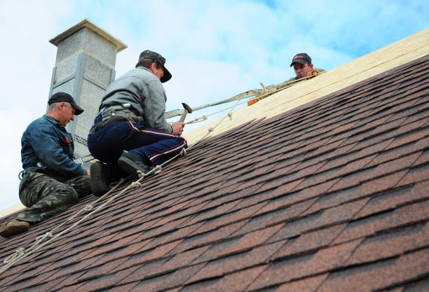 Best Gutter Installation and Roofing  in La Presa, CA