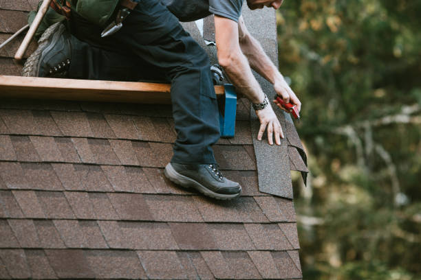 Professional Roofing Contractor in La Presa, CA